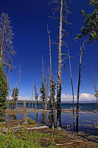 042 yellowstone, west thumb.JPG